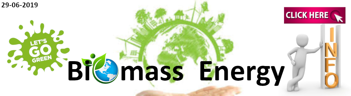 NEWS Biomass Energy